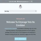 cityscapevets.com