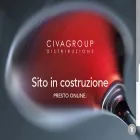 civagroupitalia.com