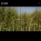 civer.io