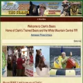 clarksbears.com