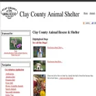 claycountyshelter.com