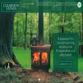 clearviewstoves.com