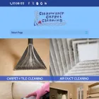 clearwatercarpet.com