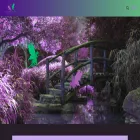 cleverandwtf.com