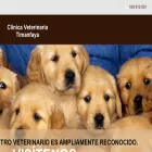 clinicaveterinariatimanfaya.net
