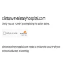 clintonveterinaryhospital.com