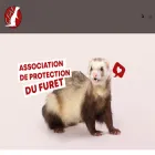 club-furet.fr