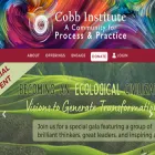 cobb.institute