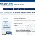 cobraguard.net