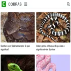 cobras.com.br