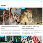 cocsxv.com