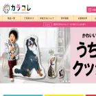 colcolle.com