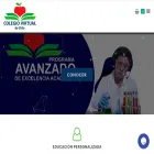 colegiovirtualdechile.cl