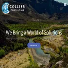 collierconsulting.com