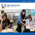 collieryouthservices.org