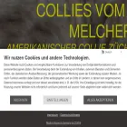 colliewelpen.de
