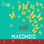 colombiaartesanal.com.co