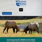 coloradowildlife.org