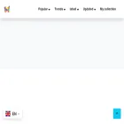 colorearm.com