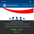 comune.vicodelgargano.fg.it