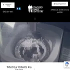 concordfamilydentistrynh.com