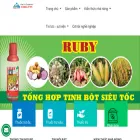 congtydelta.com