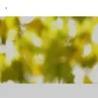 conkercommunications.com