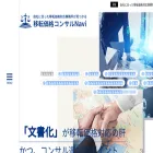 consult-transferpricing.com