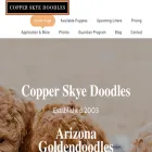 copperskyedoodles.com