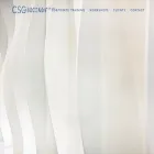 corporatespeechconsultants.com
