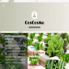 cosmotripblog.com