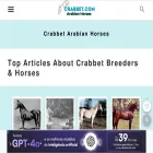 crabbet.com