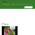 crazftzy.com