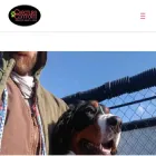 creaturecomfortsresort.com