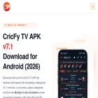 cricfytv.net