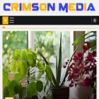 crimsonmedia.info