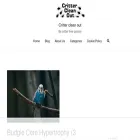 crittercleanout.com