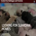 crookedstarbulldogges.com