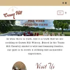 crownhillwinery.com