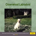 crownwoodlabradors.com