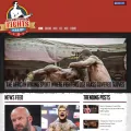 csfights.com