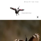 c-sidamon-pesson.com