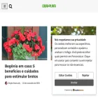 cuidardeplanta.com.br
