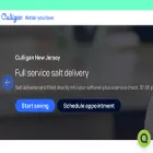 culligannj.com