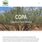 cultureofpeacealliance.org