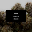curated-cannabis.com