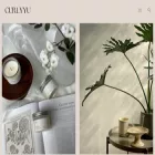 curlyyustudio.com