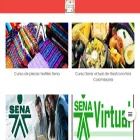 cursosdelsenavirtual.com