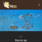 customwindsculptures.com