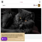 cutecatsstore.com